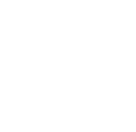 Fern Leaf
