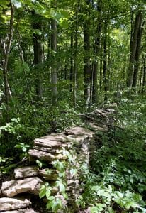 Wandering along stone walls